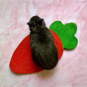 Rabbit Toy Scratch Mat