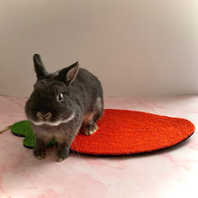 Load image into Gallery viewer, Rabbit Toy Scratch Mat
