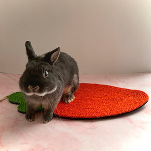 Rabbit Toy Scratch Mat