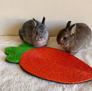 Rabbit Toy Scratch Mat