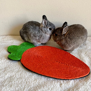 Rabbit Toy Scratch Mat