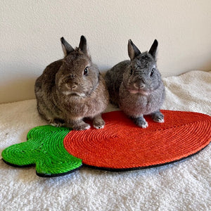 Rabbit Toy Scratch Mat